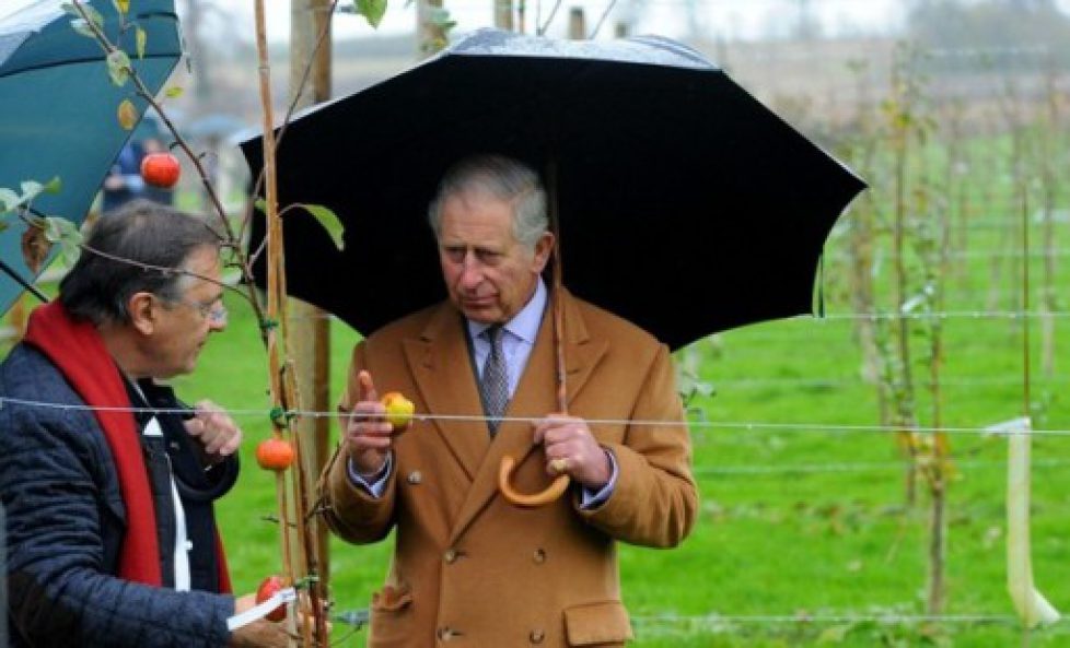 Prince+Wales+Visits+National+Heritage+Garden+XIwGl_s2l5Jl