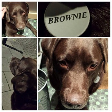 chambre agriculture 72