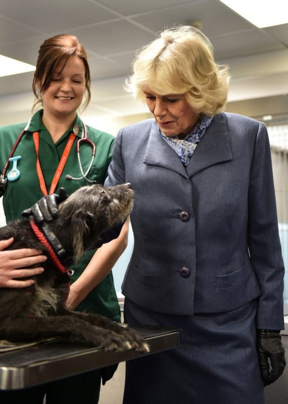 Camilla+Visits+Sainsbury+Animal+Hospital+DJLaV_c4u84l