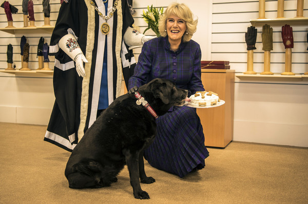 Duchess+Cornwall+Visits+Wiltshire+Px_uaBe6J-hl