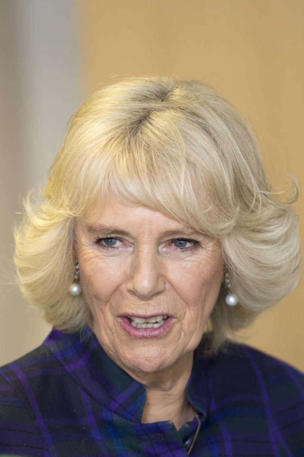 Duchess+Cornwall+Visits+Wiltshire+qc2R_4JqNcGl