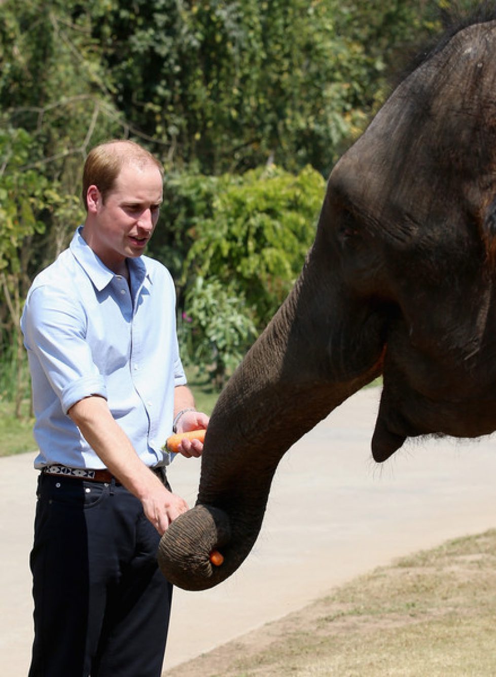 Duke+Cambridge+Visits+China+Day+4+n6b0n-e2sLIl