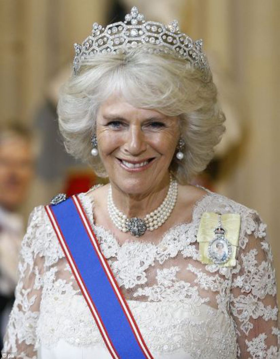 01-Glowing-The-Duchess-of-Cornwall-flashes-a-smile-and-her-beautiful-jewellery-photocPA