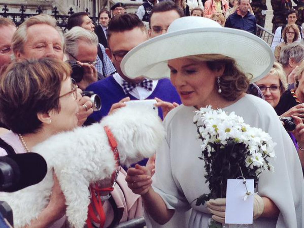 Queen-Mathilde-5