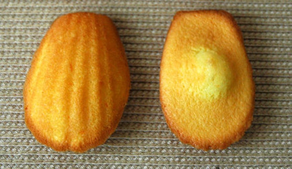 madeleines1