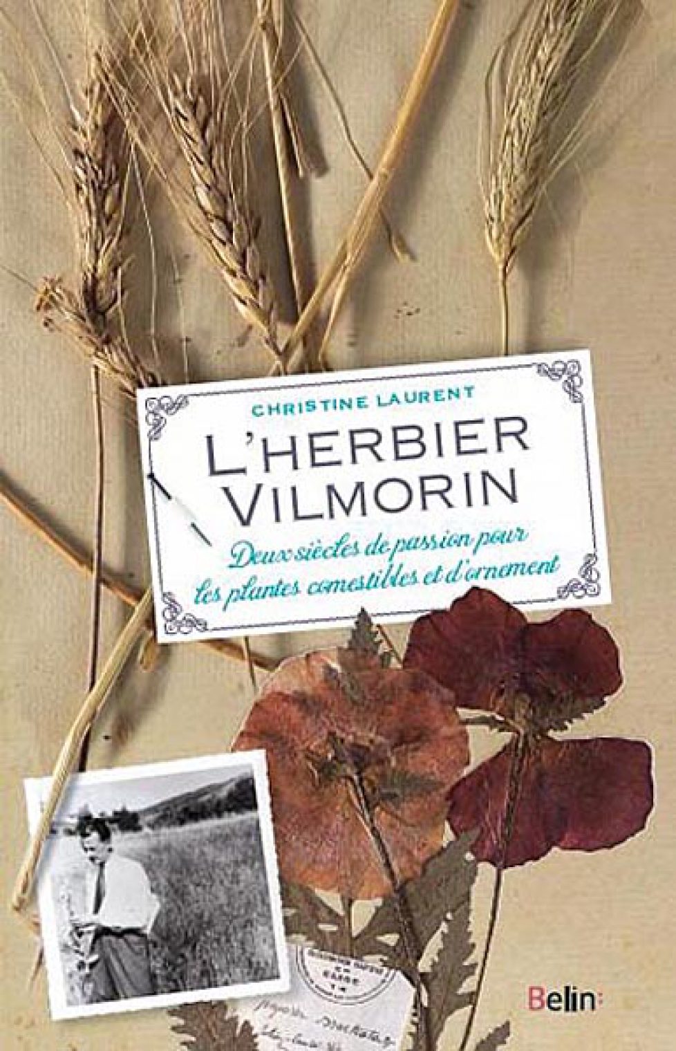 herbier-vilmorin