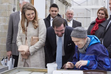 rencontre stephanie et guillaume