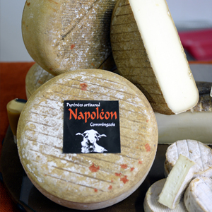 fromages-napoleon-grand