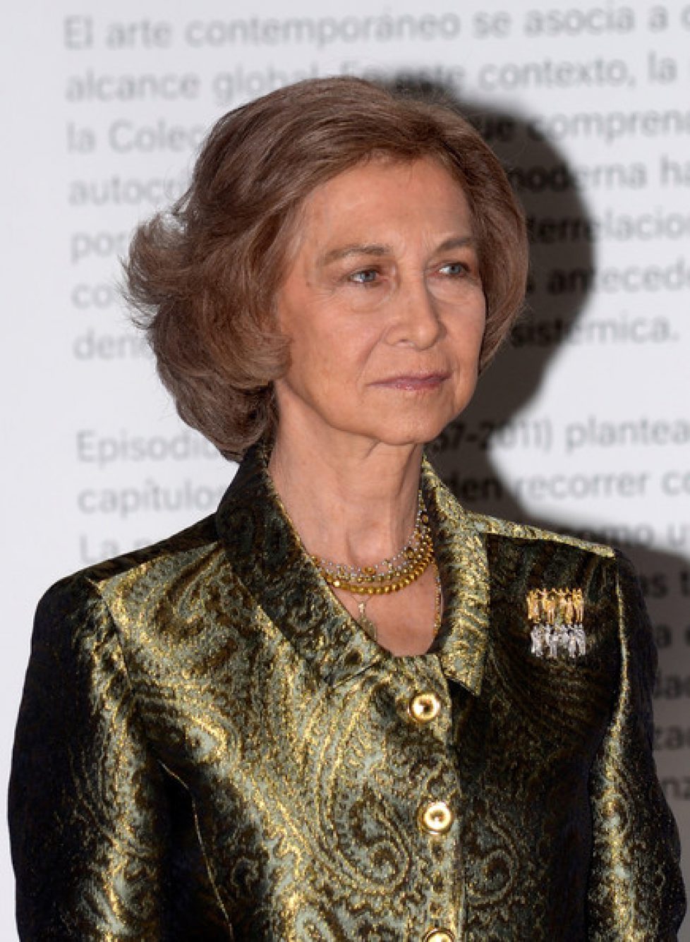 Queen+Sofia+Spain+Attends+25th+Anniversary+RIYeUdEC7Cul