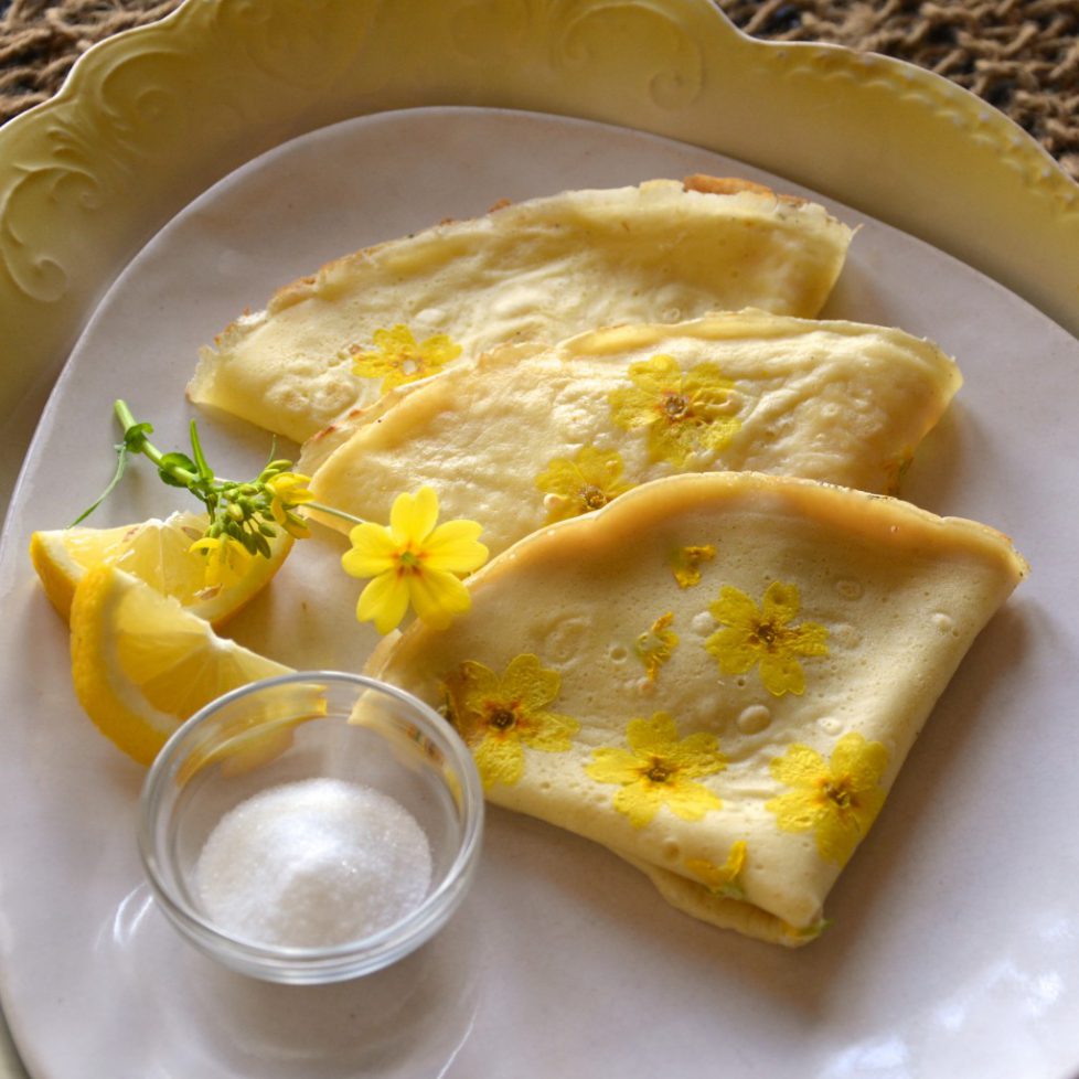 pancakes-aux-primevères-cBarnhaven-Primroses