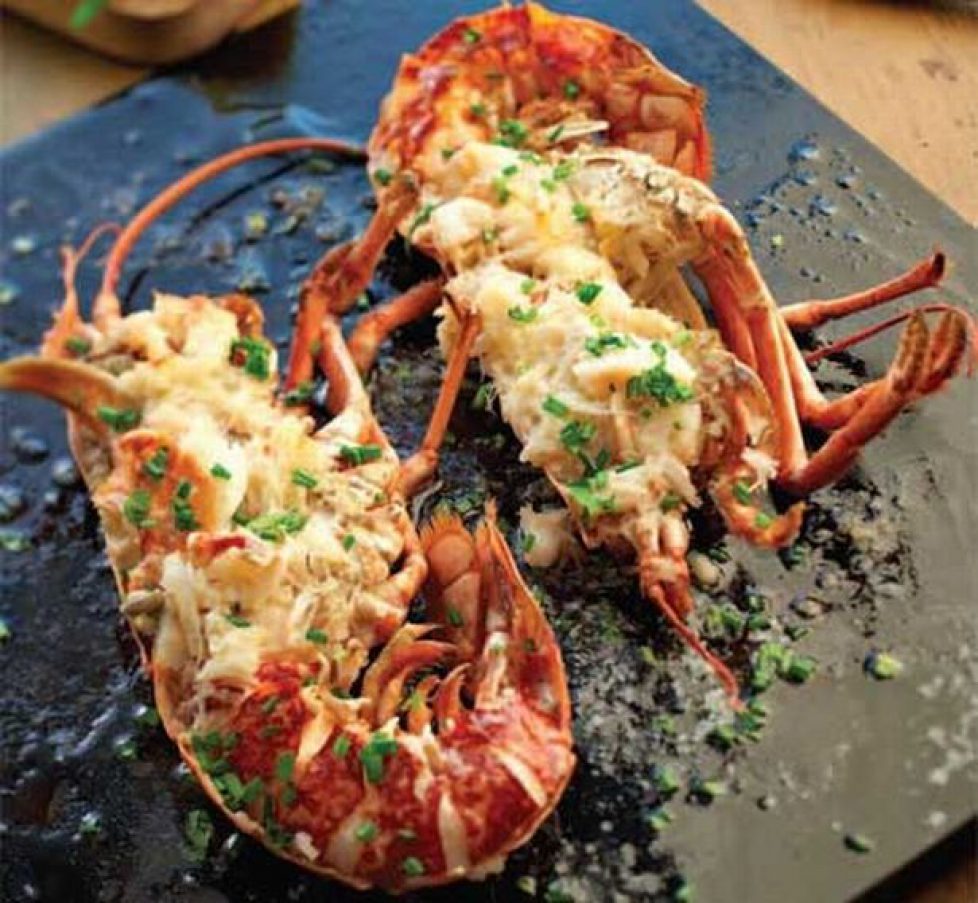 lobster-500578052