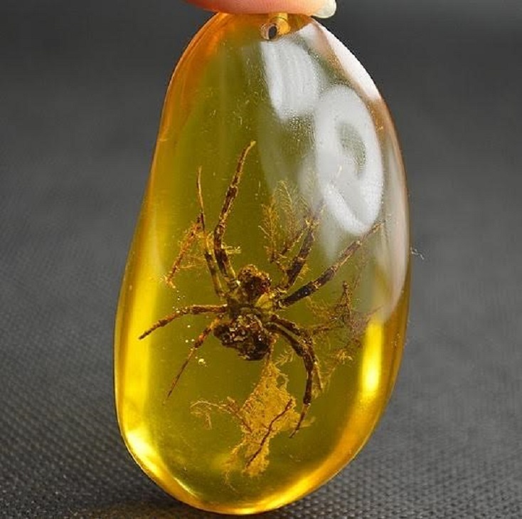 ambre naturelle pendentif pendentifs ambre naturelle ovale avec inclusions araignee gemme organique 220 carats www.rubisnaturels.com