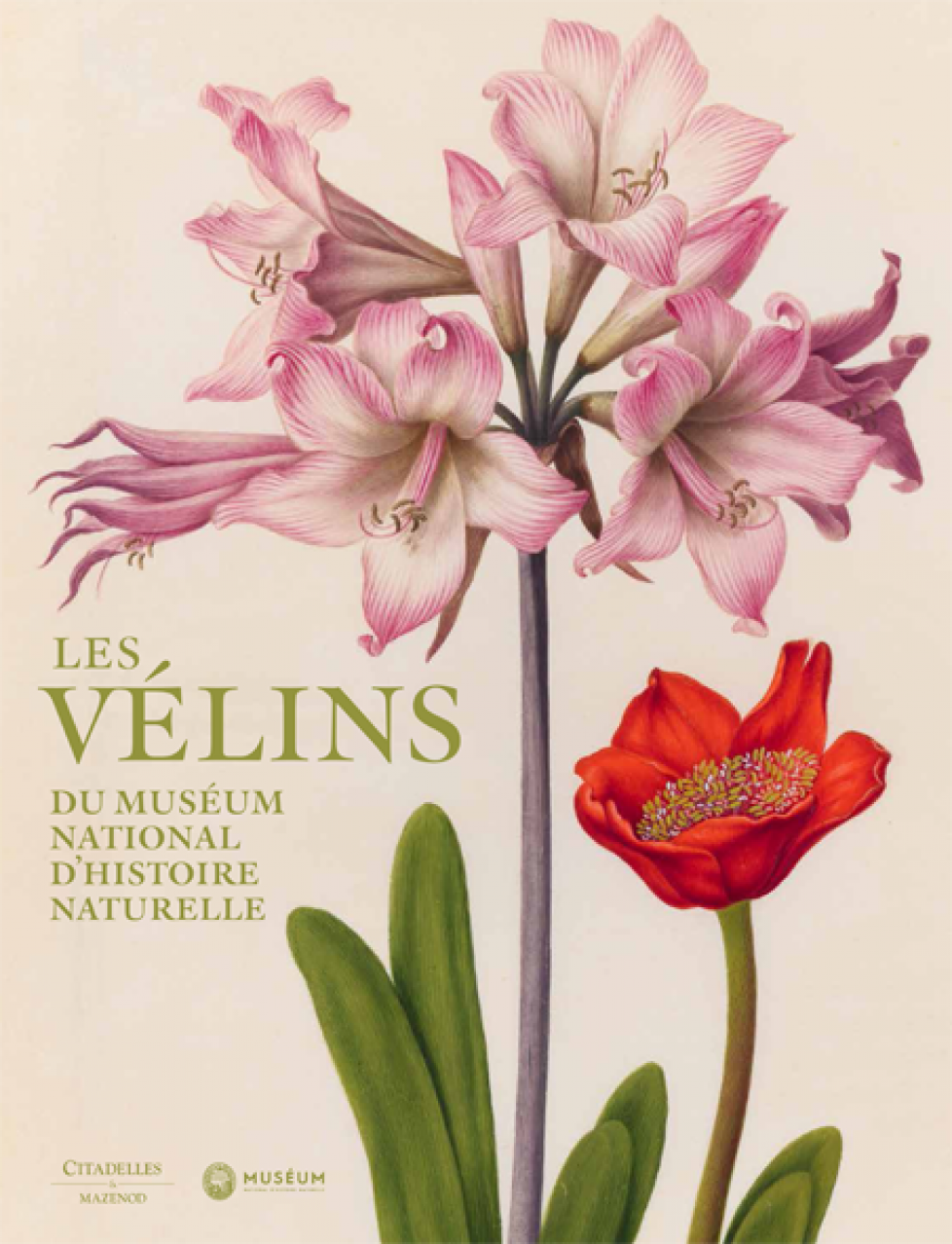 brochure_ouvrage_les-velins-du-museum