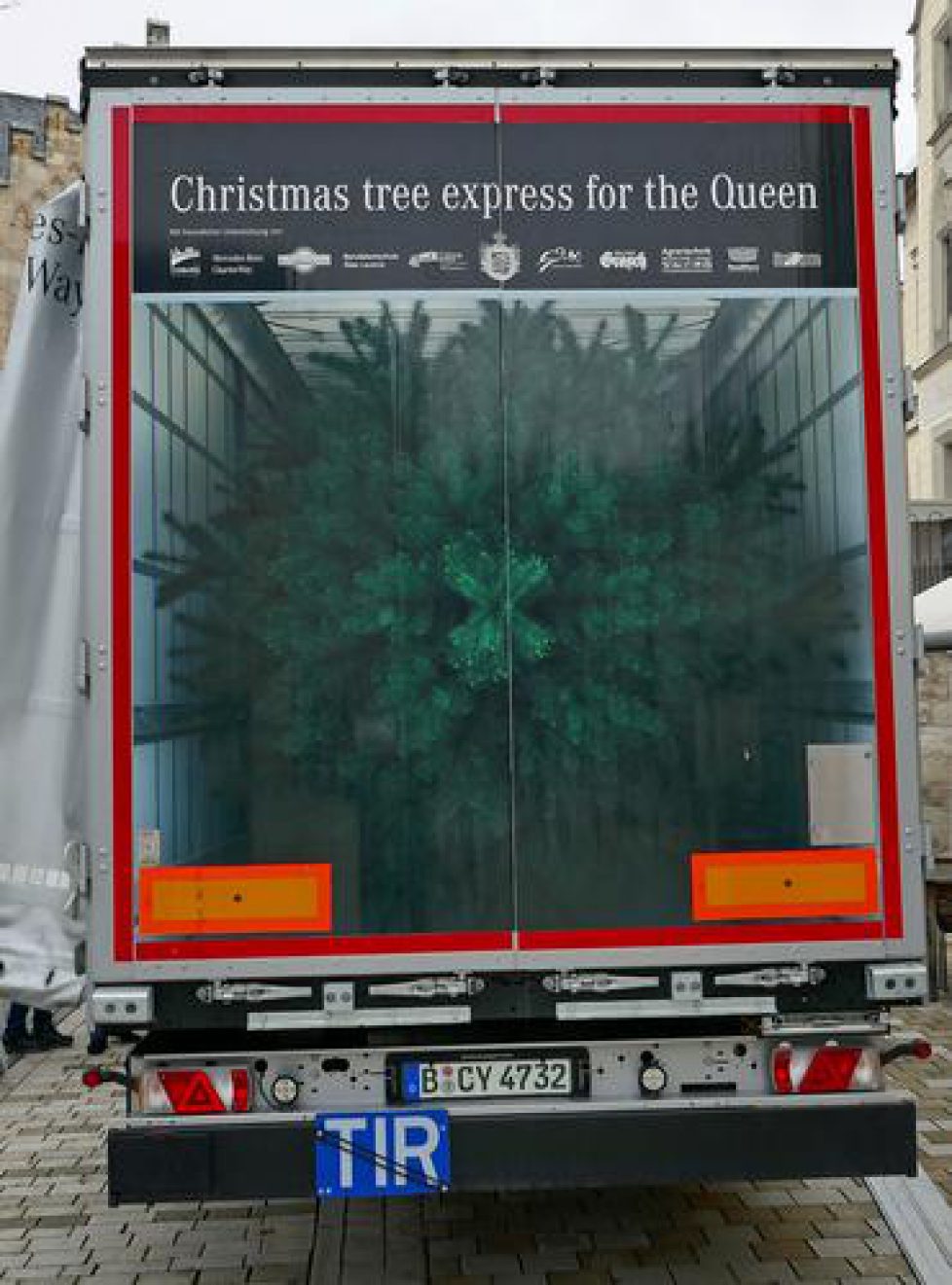 4696759_1_christmas_tree_express