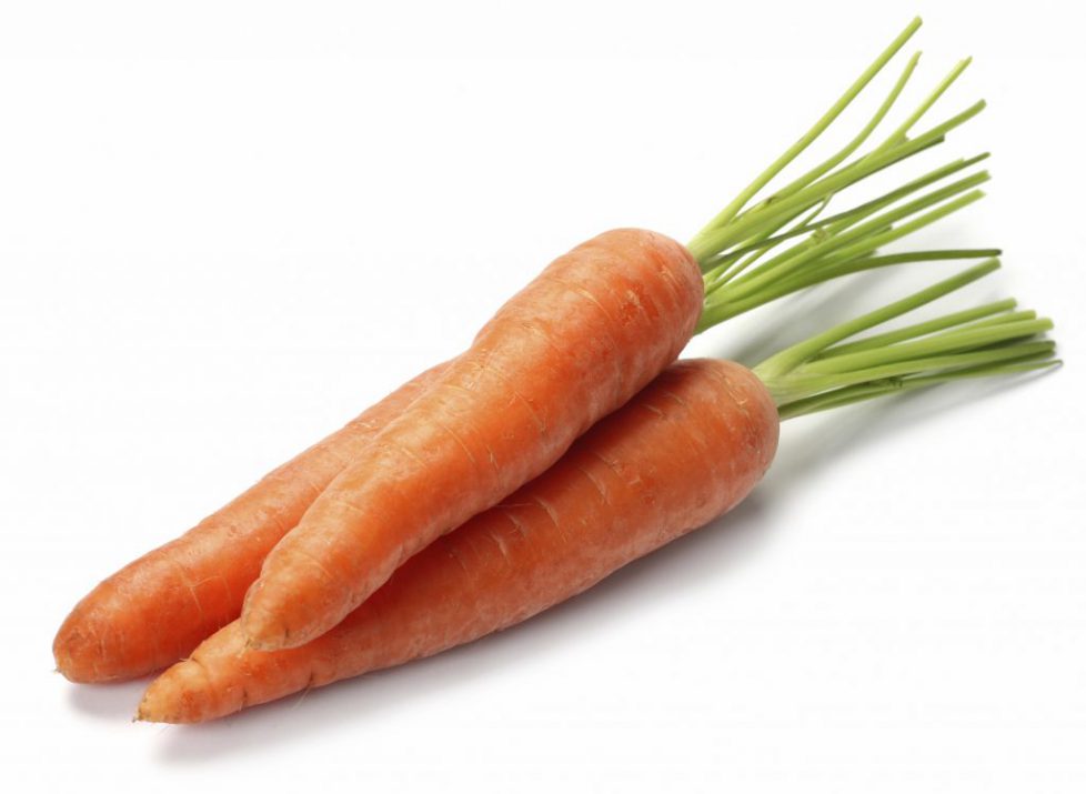 Carrot vegetable