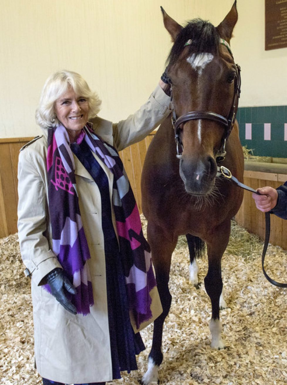 Duchess+Cornwall+Meets+Racehorse+Frankel+Newmarket+3Sq57kULSSJl