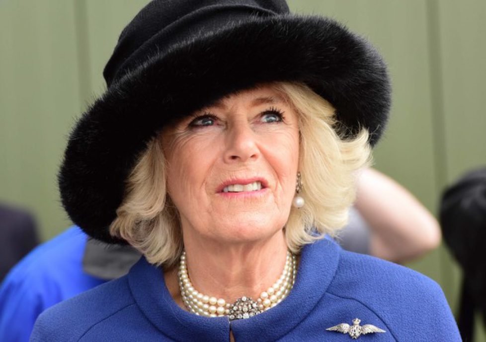 Duchess+Cornwall+Visits+100+Squadron+RAF+Leeming+Z1IK3fnT89Fl