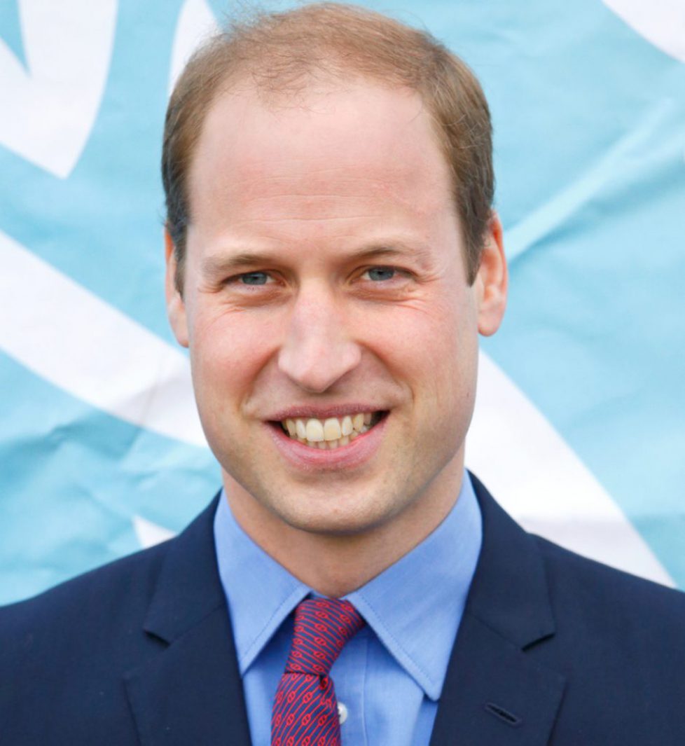 prince_william_photo_max_mumby_indigo_getty_images_500321416_croppedjpg