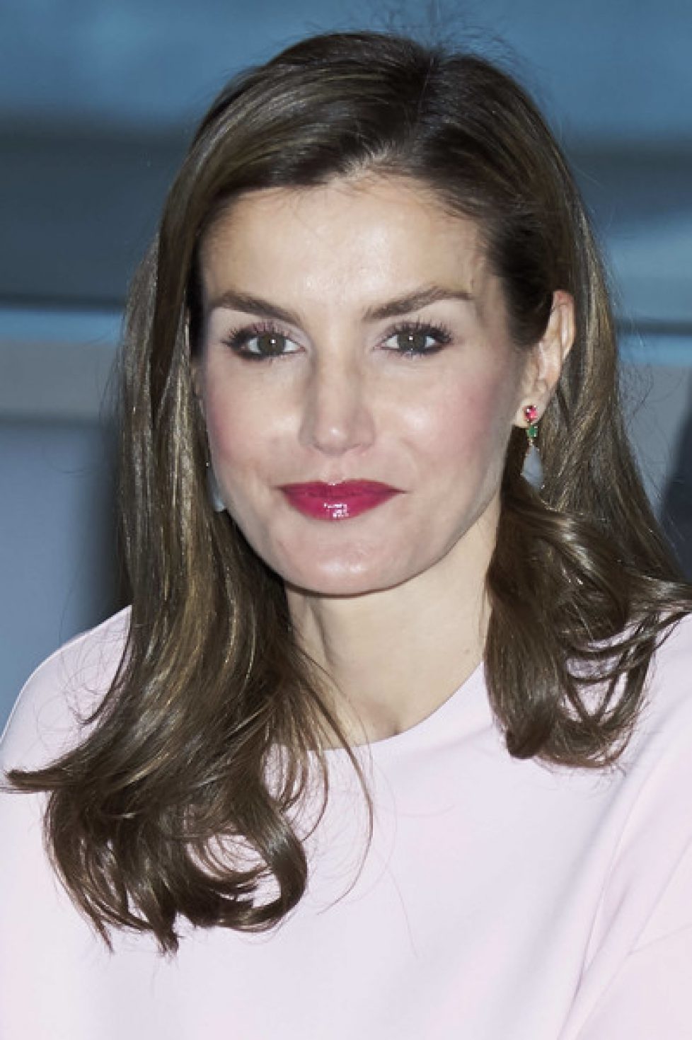 Queen+Letizia+Attends+Meeting+Foundation+Against+Gi_10SXGiEEl