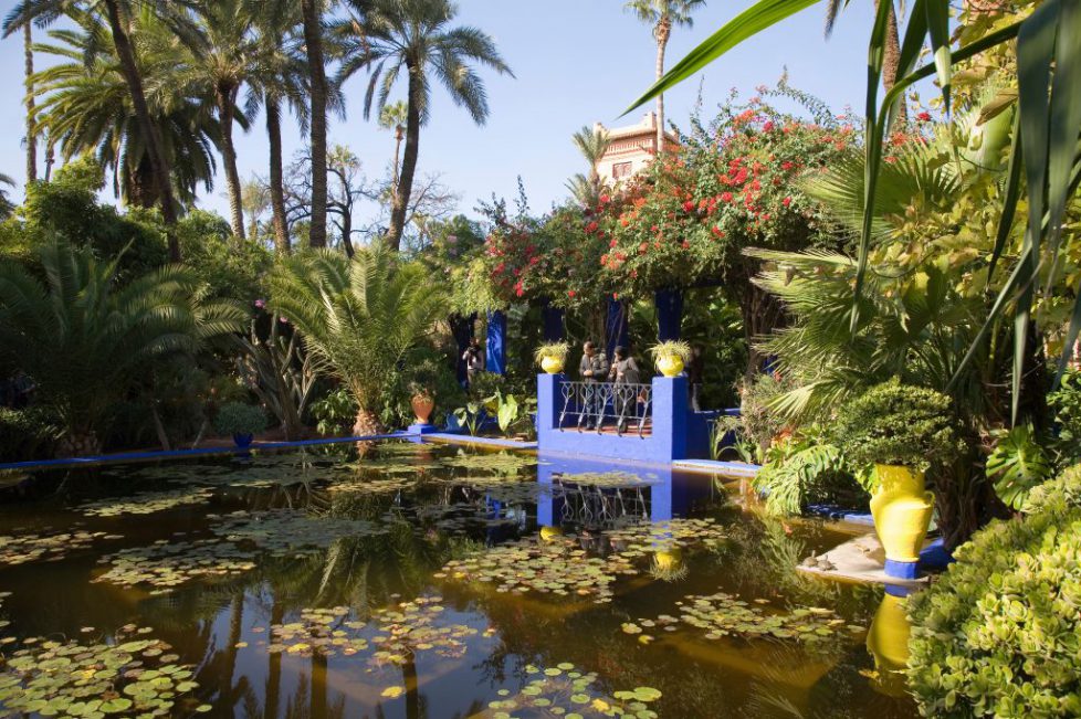 africa, morocco, marrakech, jardin majorelle created by the stylist yves saint-laurent