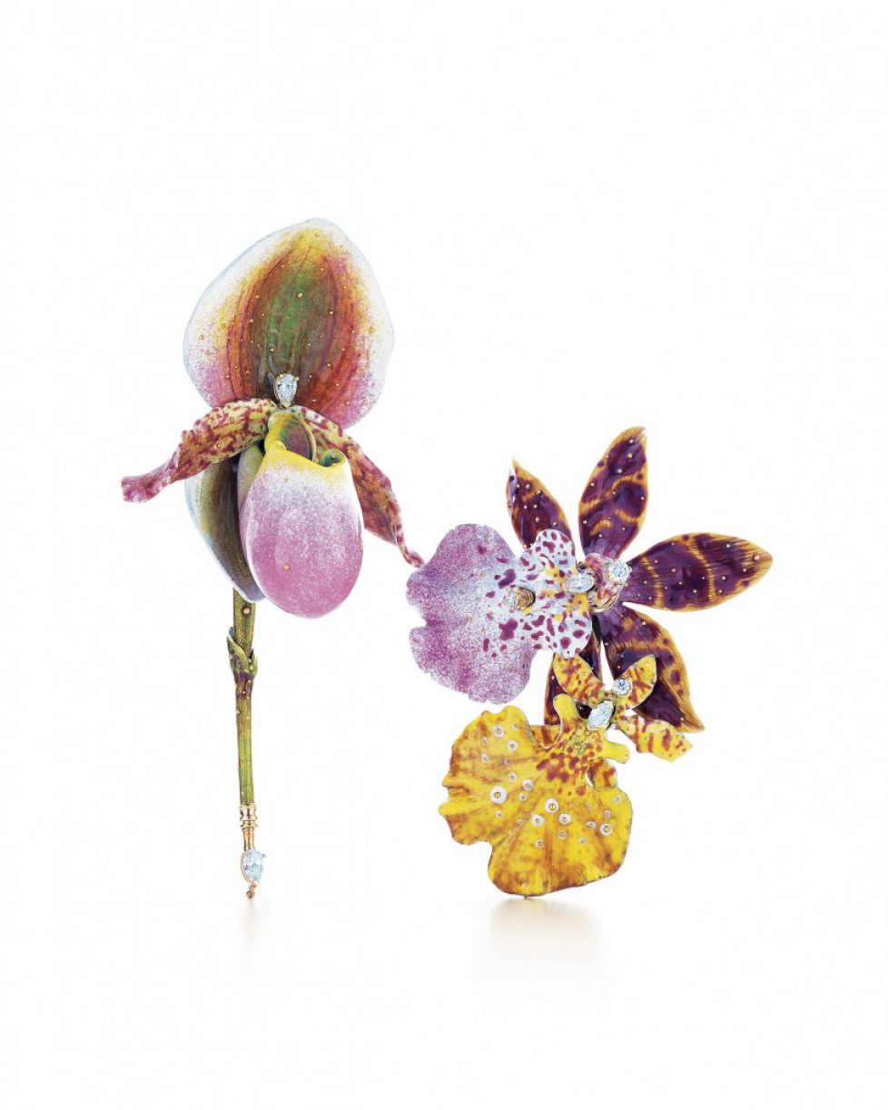 Tiffany-Orchid-Brooc_637 Tiffany-Orchid-Brooc_637