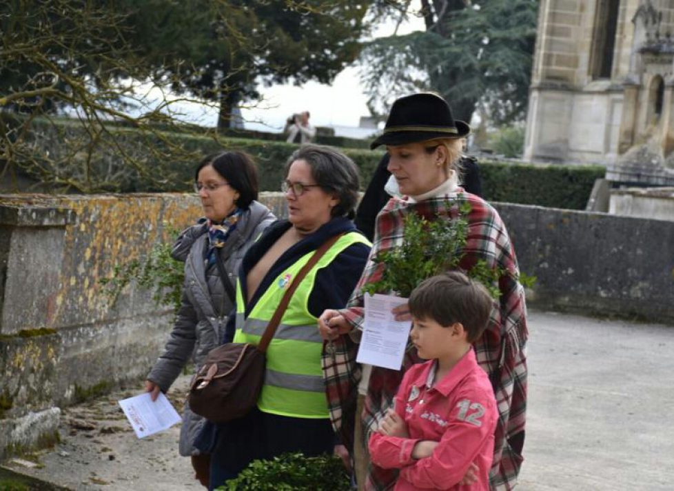 fete-des-rameaux-2018-a-dreux_3689664-1