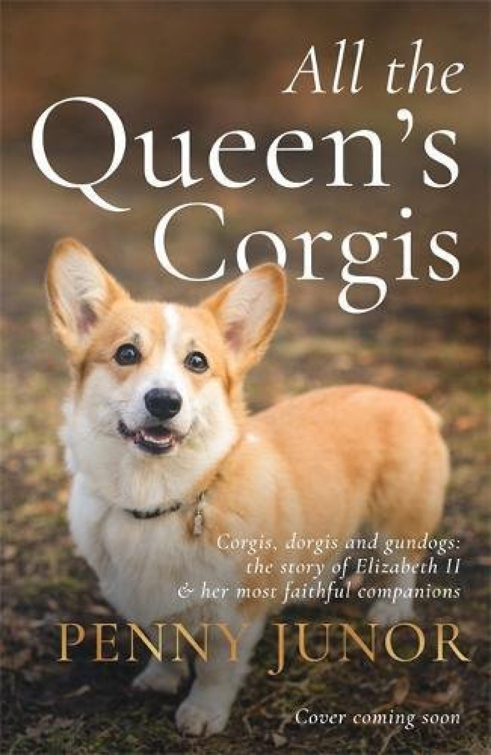 corgis