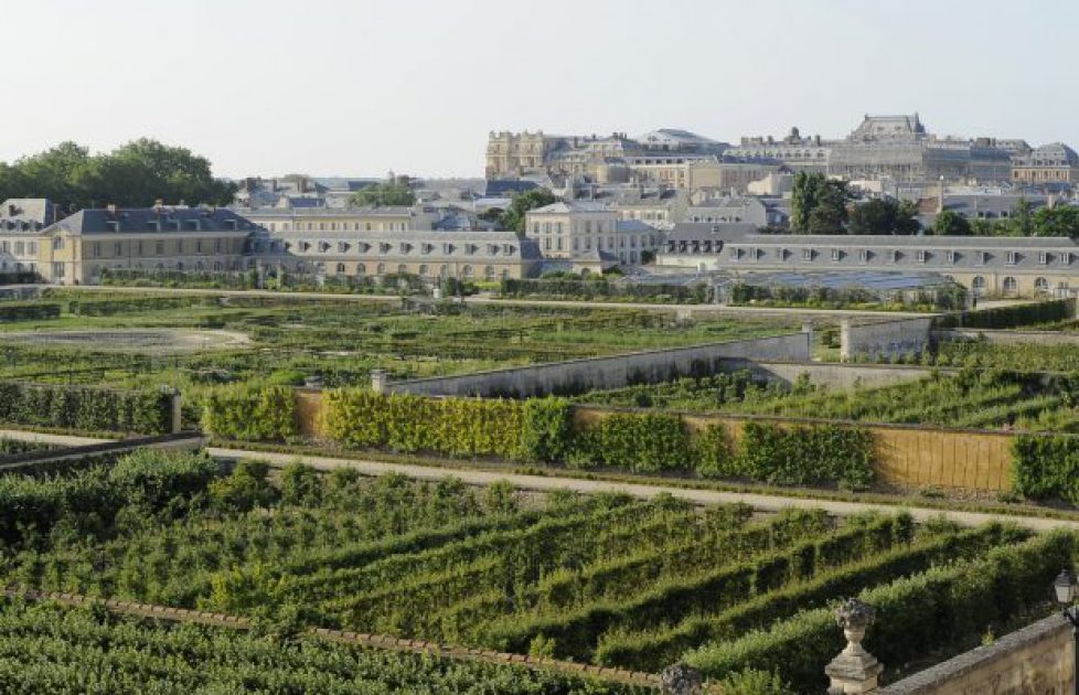 Un mécénat pour le Potager du Roi