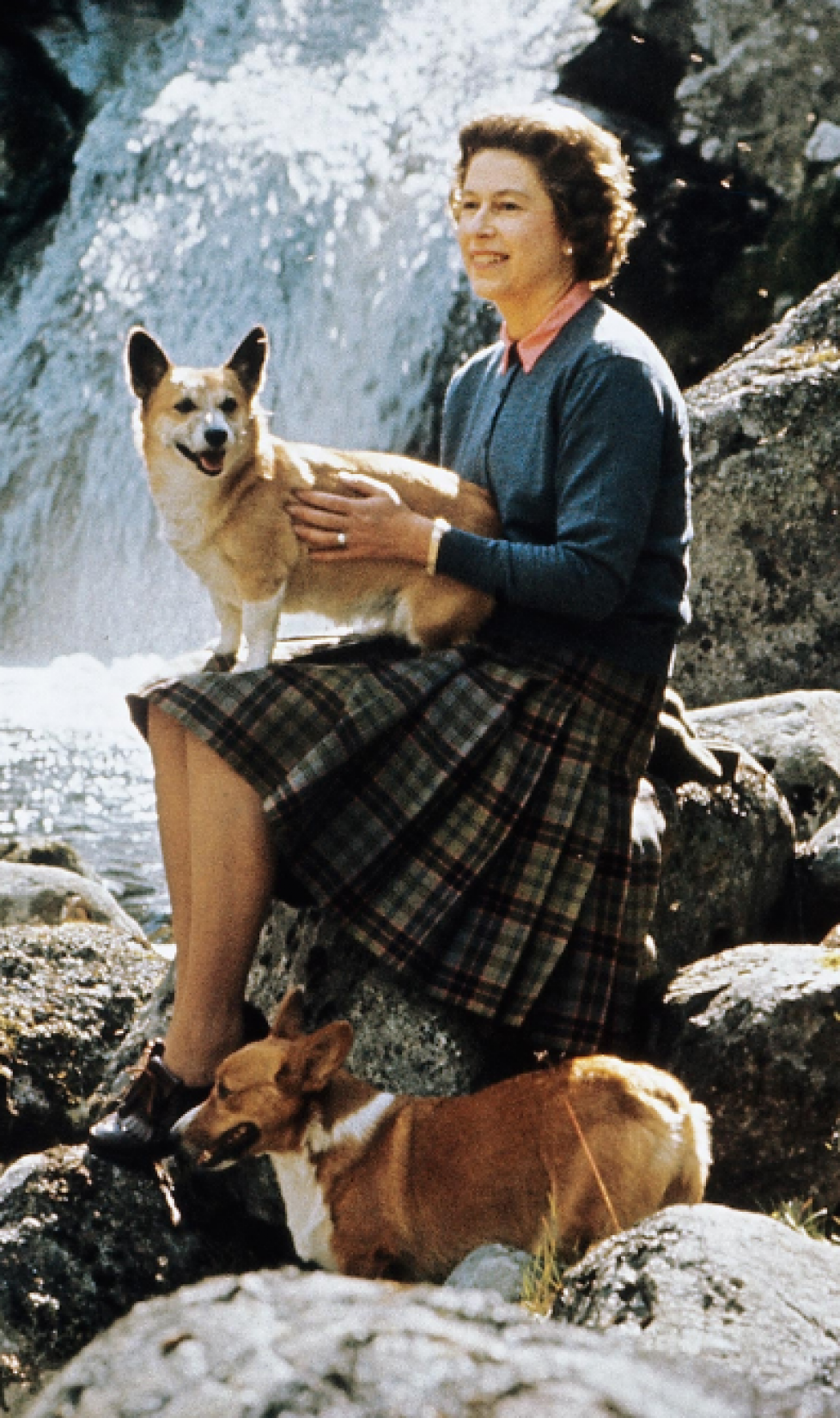 reine-elisabeth-corgis-balmoral