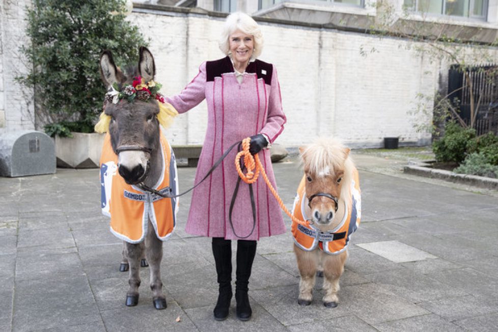 Camilla+Duchess+Cornwall+Attends+Animal+Welfare+BAuy2MvQm3Ul