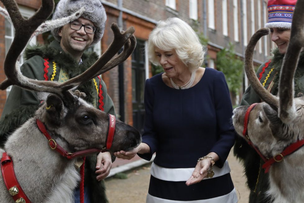 Duchess+Cornwall+Decorates+Clarence+House+_Lqyay1RXcnl Duchess+Cornwall+Decorates+Clarence+House+_Lqyay1RXcnl