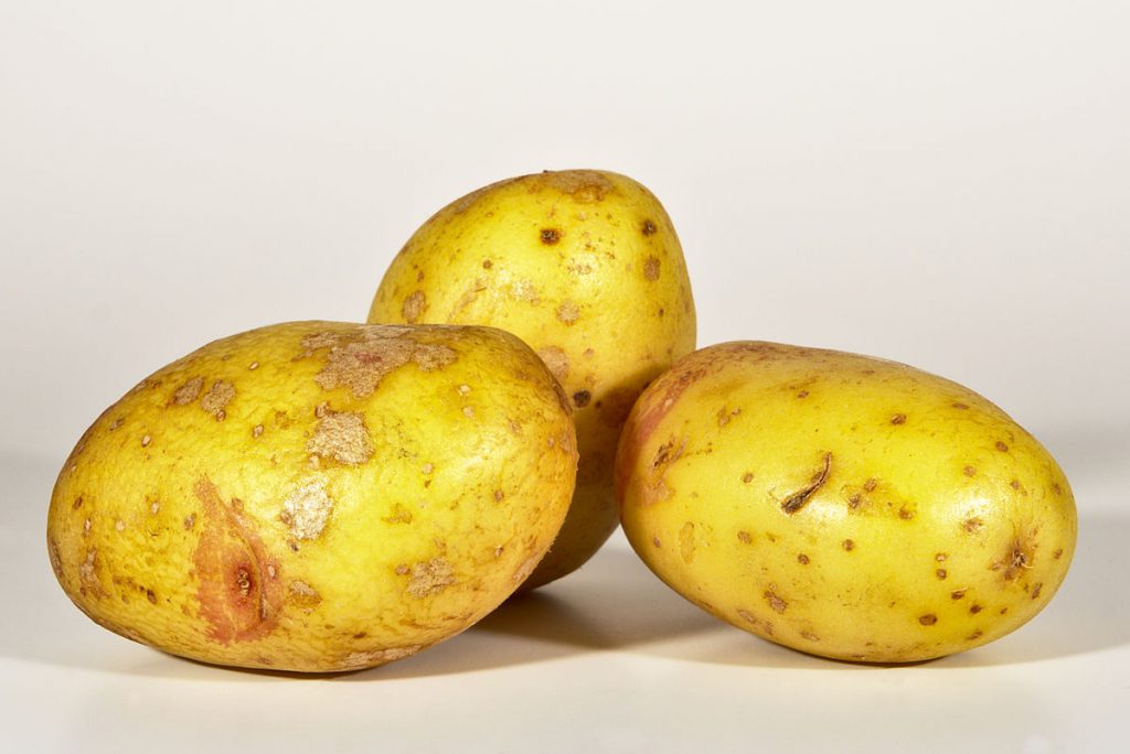 La pomme de terre « King Edward » – Noblesse & Royautés