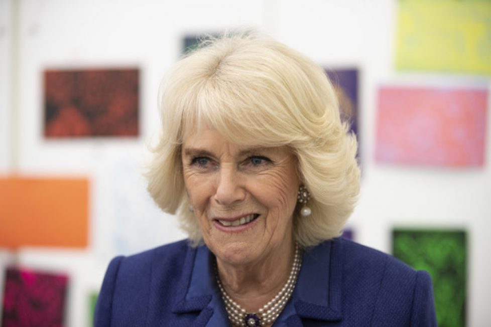 Duchess+Cornwall+Visits+Royal+Academy+Arts+RmjUwgUM-e0l