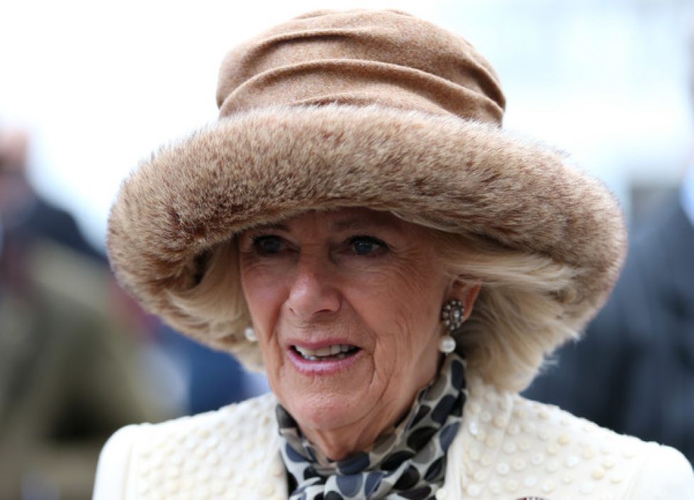 Duchess+Cornwall+Attends+Cheltenham+Festival+eHXOUucVDpwl