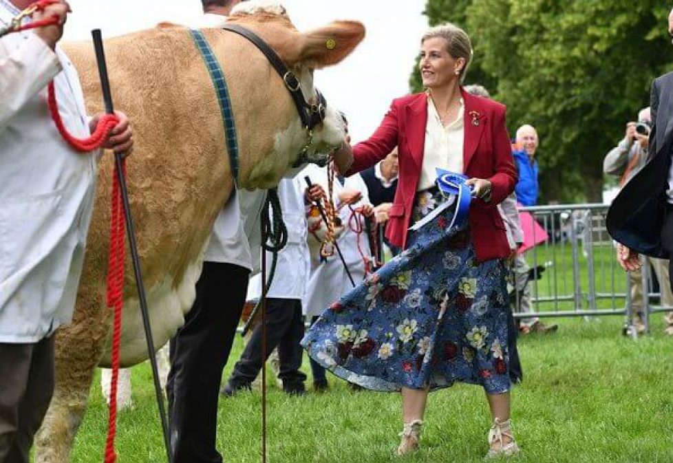 Countess-of-wessex-in-Erdem-skirt-5