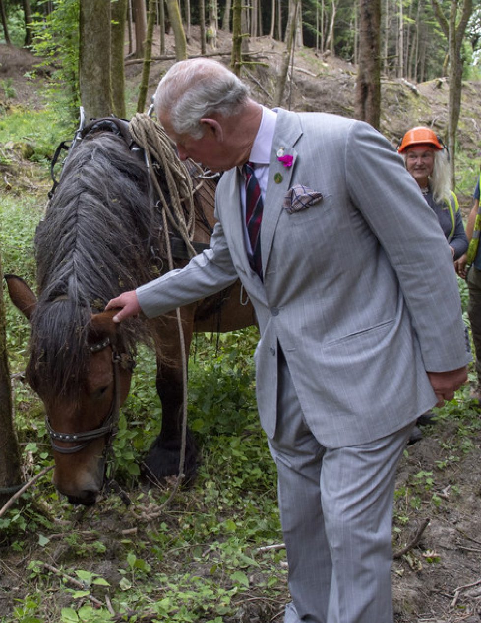 Prince+Wales+Duchess+Cornwall+Visit+Wales+835jBhvO5PCl