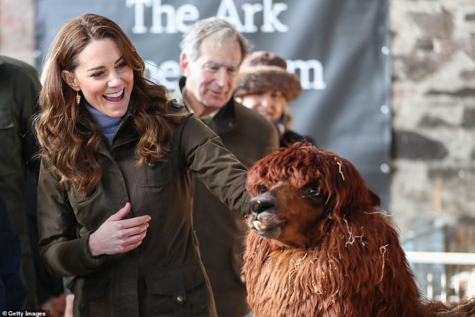 24648774-7995451-Kate_looked_quite_thrilled_to_be_meeting_the_alpaca_while_he_app-a-37_1581512609035 24648774-7995451-Kate_looked_quite_thrilled_to_be_meeting_the_alpaca_while_he_app-a-37_1581512609035