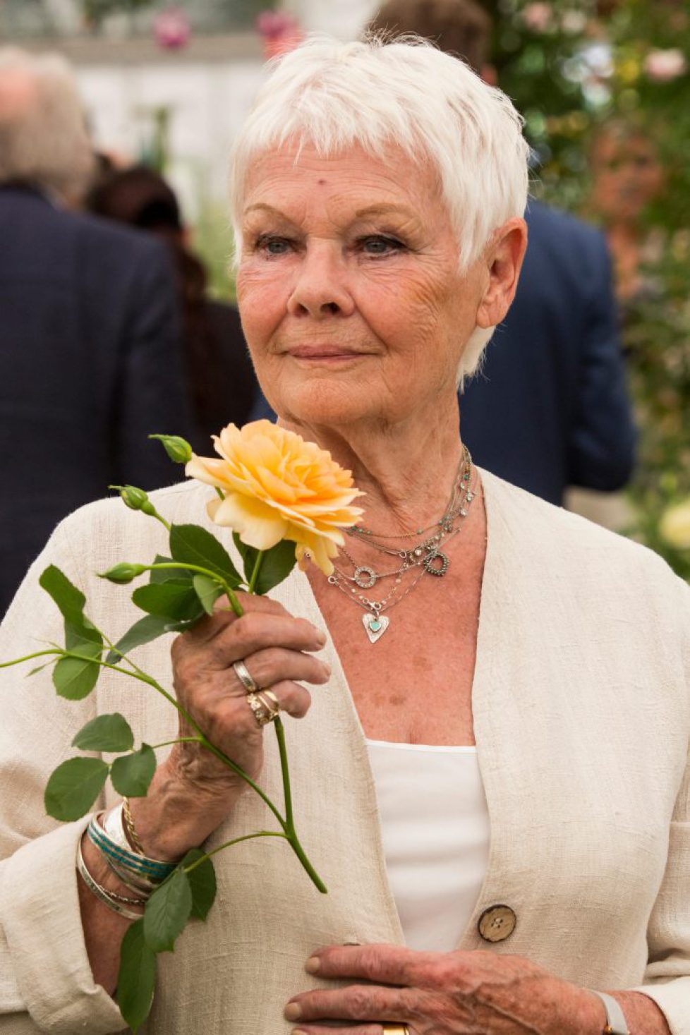 London, UK. 22nd May, 2017. Dame Judi Dench with the apricot rose named after her at David Austin Roses. Rose Judi Dench. Press Day at the 2017 RHS Chelsea Flower Show which opens to the public tomorrow. Credit: Vibrant Pictures/Alamy Live News