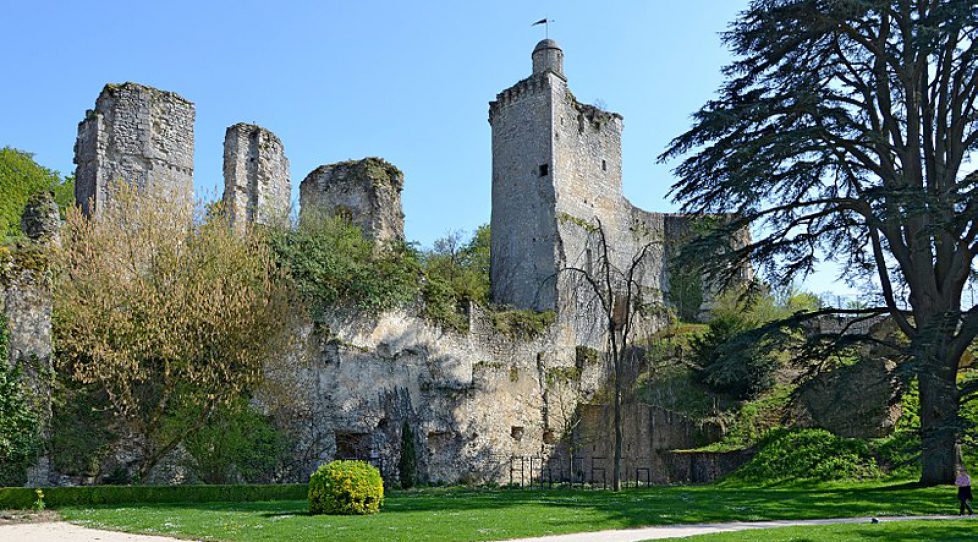 800px-Vendome-ruines-du-chateau-dpt-Loir-et-Cher-DSC_0644 (1)