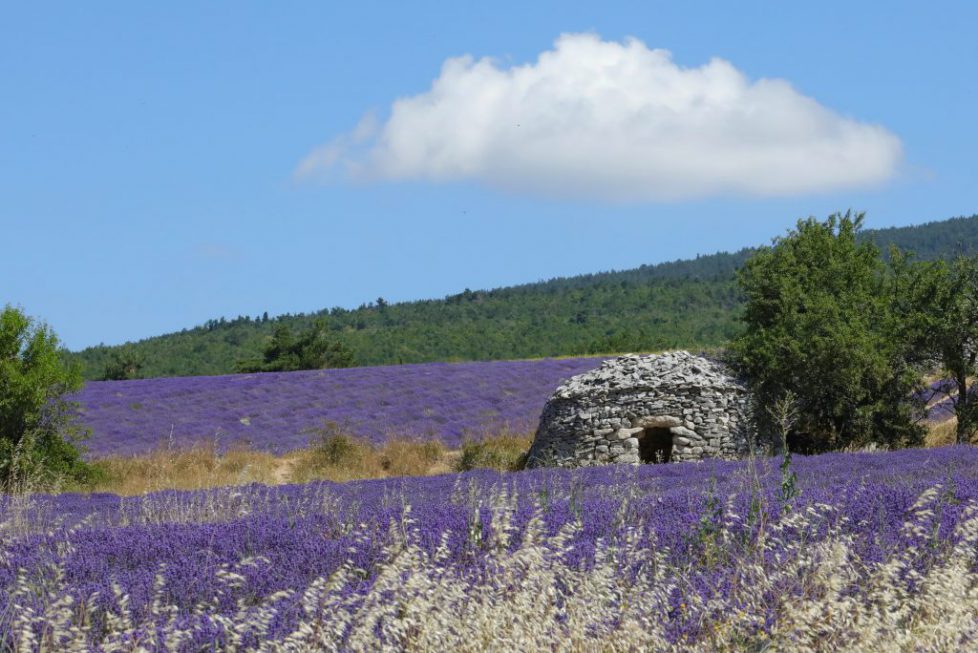 provence