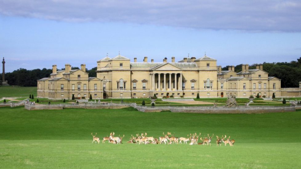 holkham-hall-deer