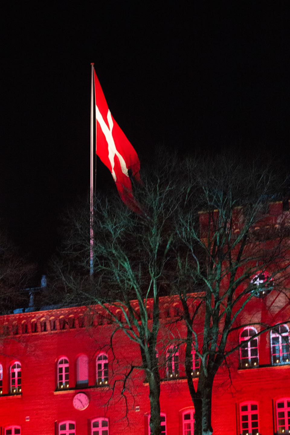 Frederik de Danemark commémore la libération du pays en 1945 Noblesse