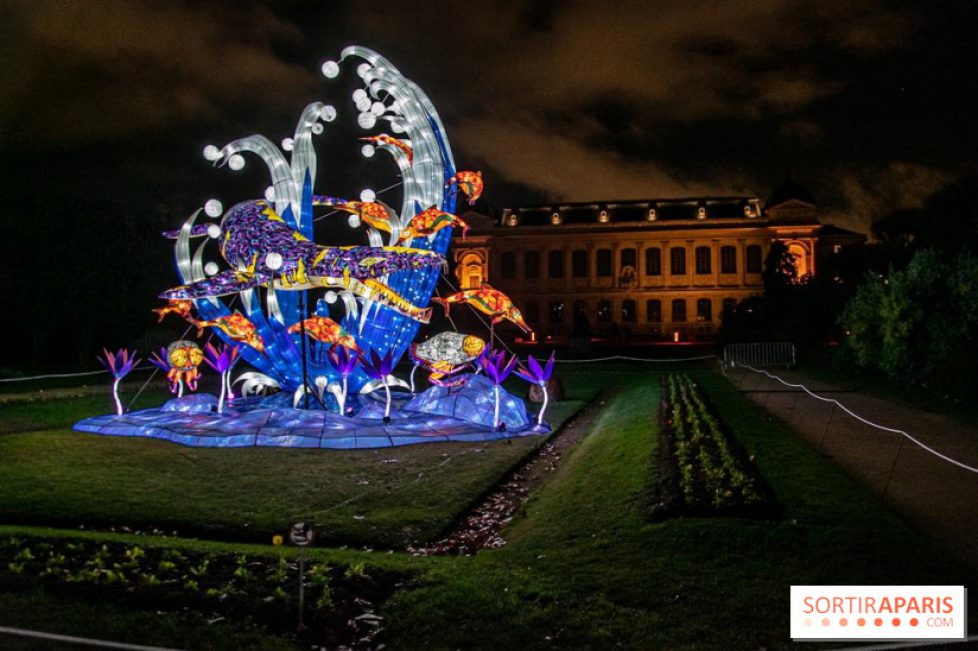 706609-festival-des-lumieres-du-jardin-des-plantes-2021-l-evolution-en-voie-d-illumination-nos-photos