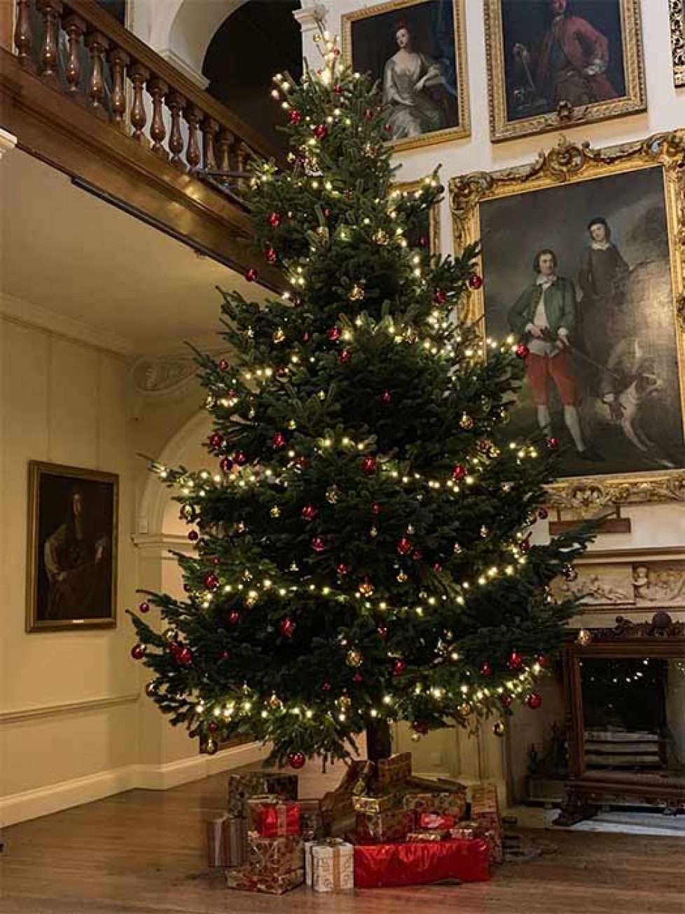 althorp-house-christmas-tree-z