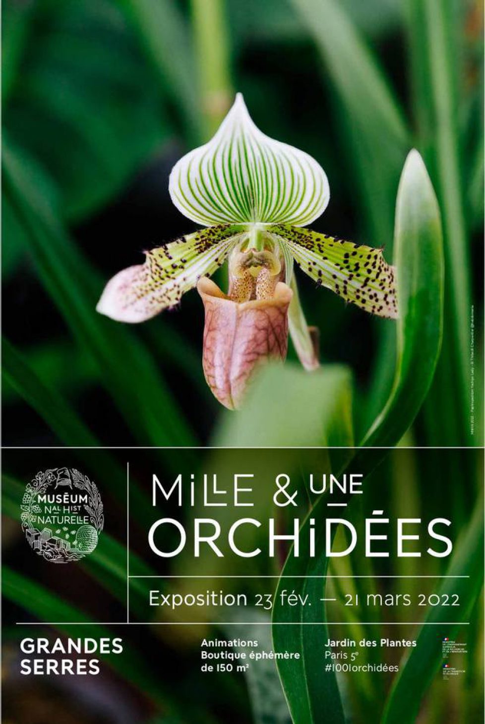 mille-une-orchidees-2022