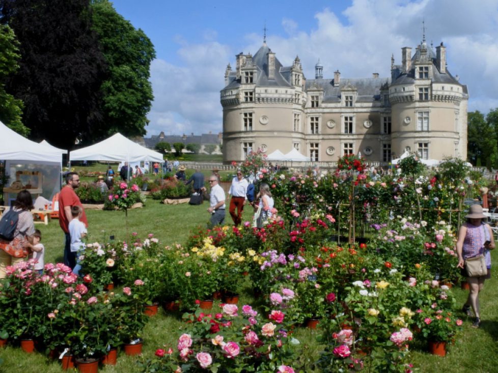 la-fete-des-jardiniers_chateau-de-lude-153346