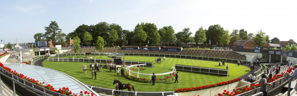 Saddling paddock at Royal Ascot on race day.