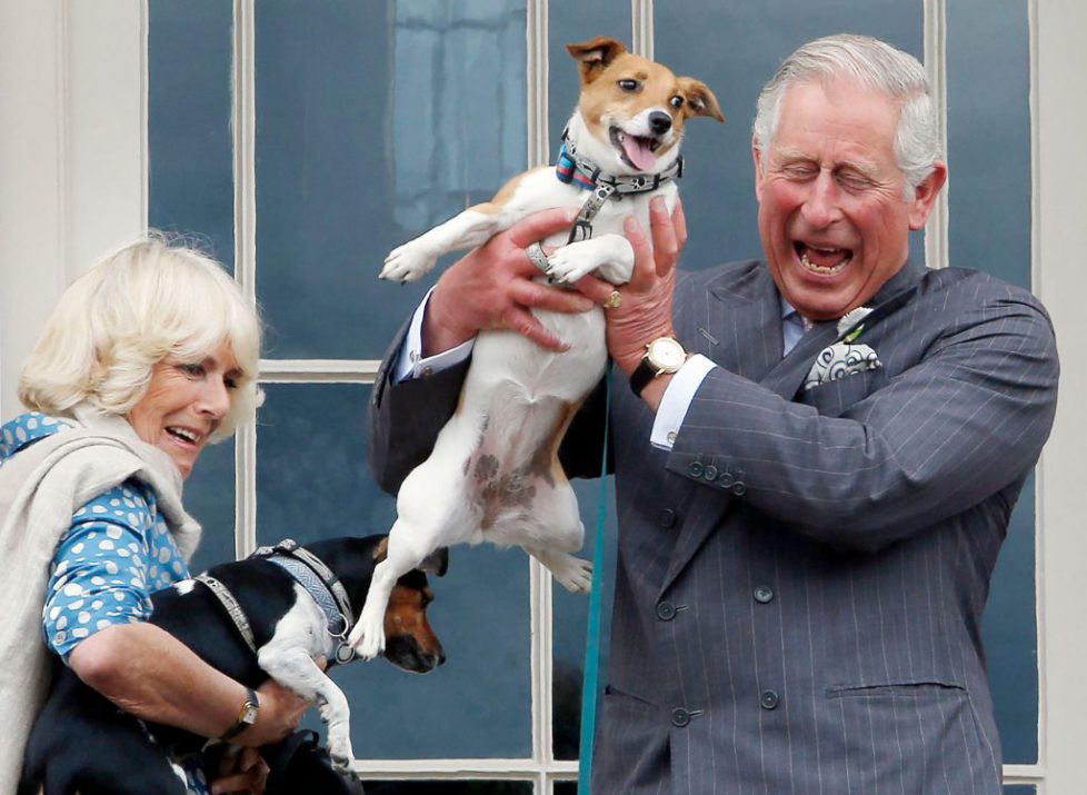 File photo dated 24/6/2015 of the Duke and Duchess of Rothesay (as the Prince of Wales and Duchess of Cornwall are known when in Scotland) holding the duchess's dogs Beth (left) and Bluebell (right) during the inaugural Dumfries House Dog Show at Dumfries