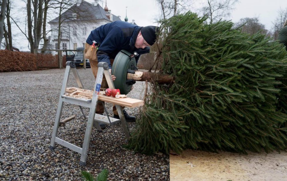 Julekalender 2023. Marselisborg Slot(Foto: Keld Navntoft )