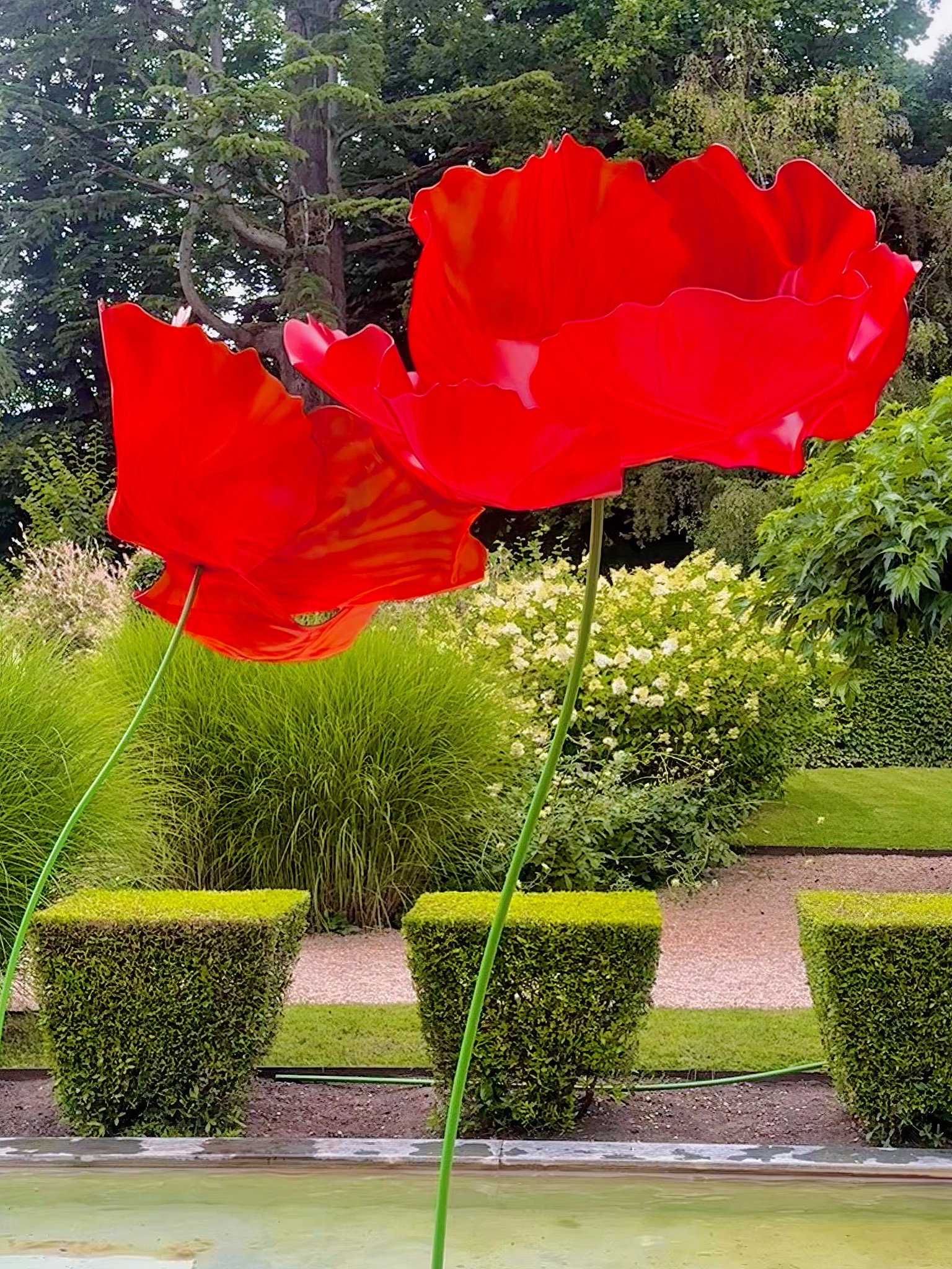 RIOLIS 2080 Coquelicots De Feu – Kit Broderie Point De Croix Complet 40x40 Cm – Motif Fleurs Rouges Vif Sur AIDA Blanc